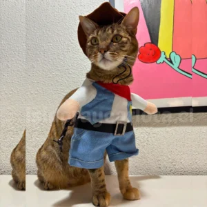 Disfraz para gatos – foto 3
