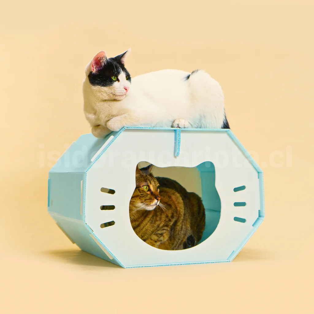 Cama Refugio Para Gatos