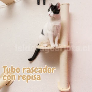 Accesorios gatificación gatos indoor