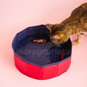 Piscina para mascotas pequeña 30x10cm