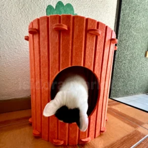 Casa refugio zanahoria para gatos