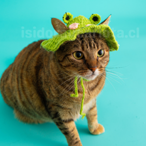 Gorro tejido para gatos