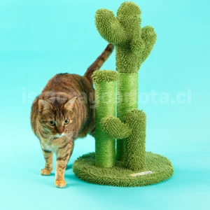 Cactus rascador para gatos