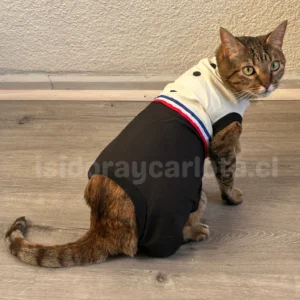 Ropa fiestas patrias para gatos Traje de huaso y vestido de china – foto 13