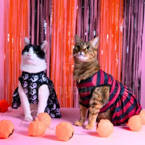 Vestido halloween para gatas