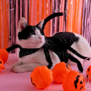 Disfraz halloween de araña para gatos