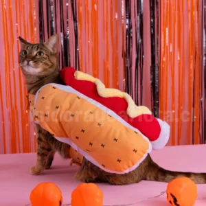 Disfraz halloween de completo para gatos