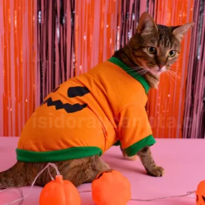 Ropa halloween diseño calabaza para gatos