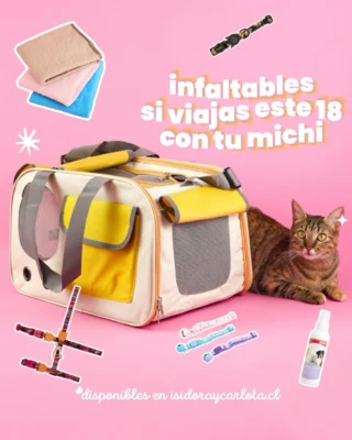 Instagram post from isidoraycarlota. This post is in position 1.